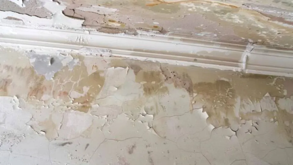 Peeling paint along the edge of a water-damaged ceiling next to molding